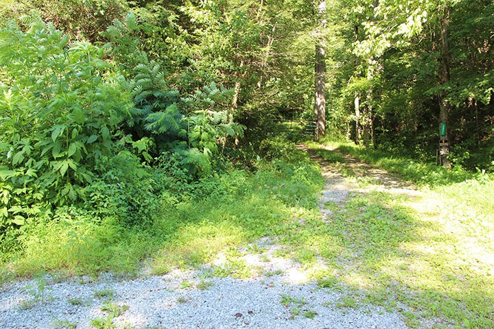 0 Boogertown Road Sevierville, TN 37876 - Photo 1 of 7