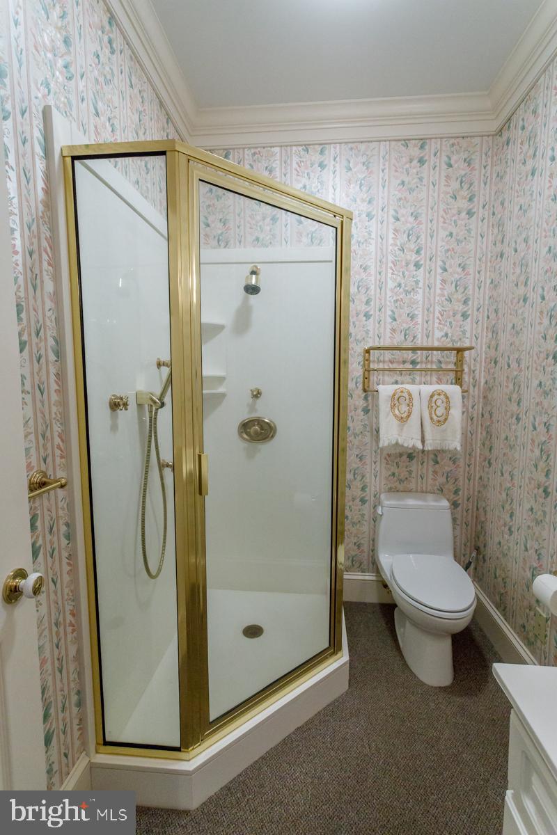 10789 Memory Road Harrington, DE 19952 - Photo 50 of 76 Gallery Image 50