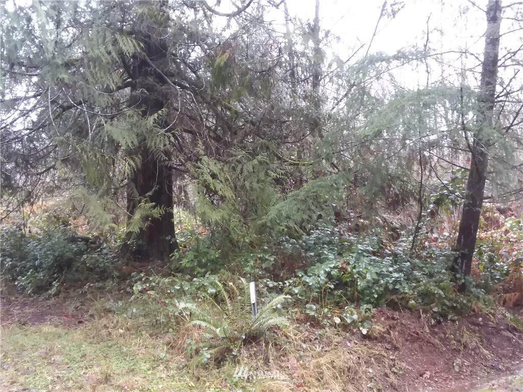 233 Southeast James Road Shelton, WA 98584 - Photo 8 of 8 Gallery Image 8