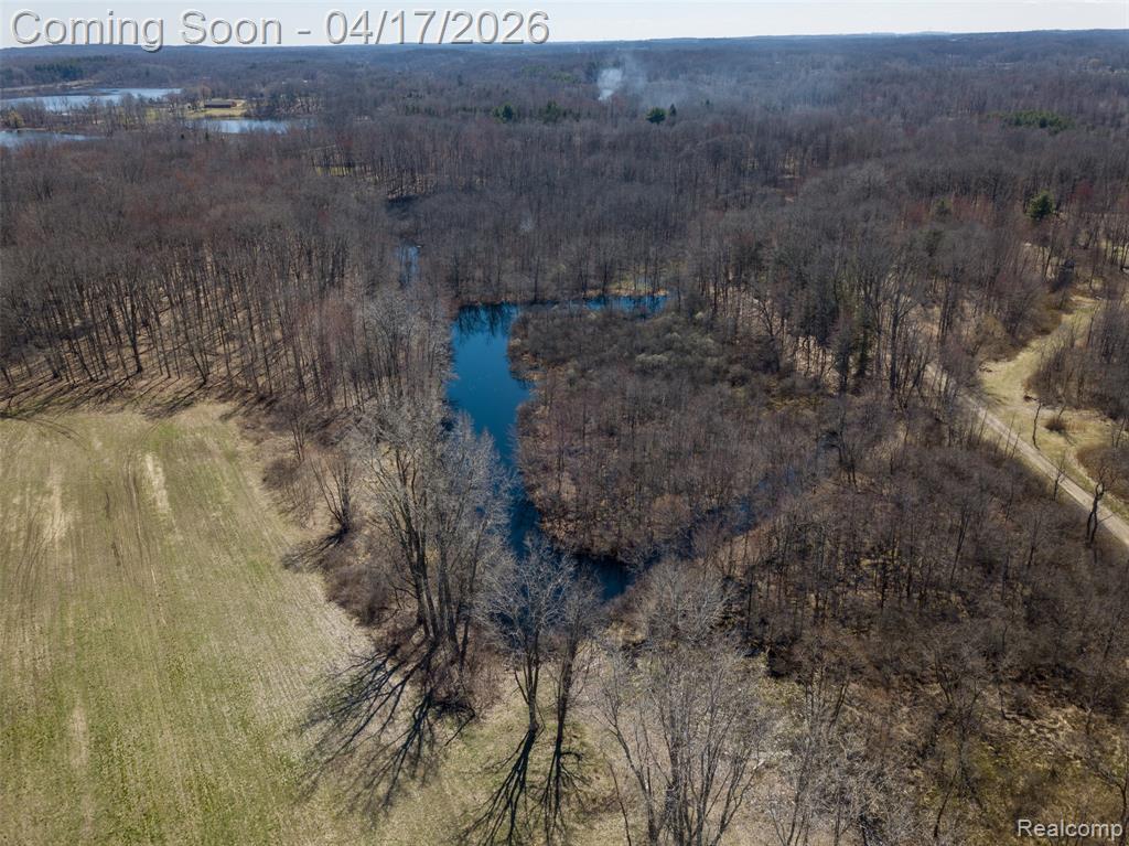 825 West Rose Center Road Holly, MI 48442 - Photo 28 of 29