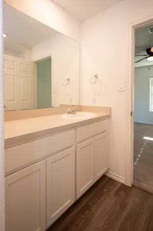 a bathroom with a sink and a mirror