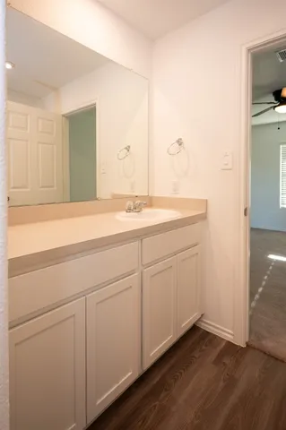 a bathroom with a sink and a mirror