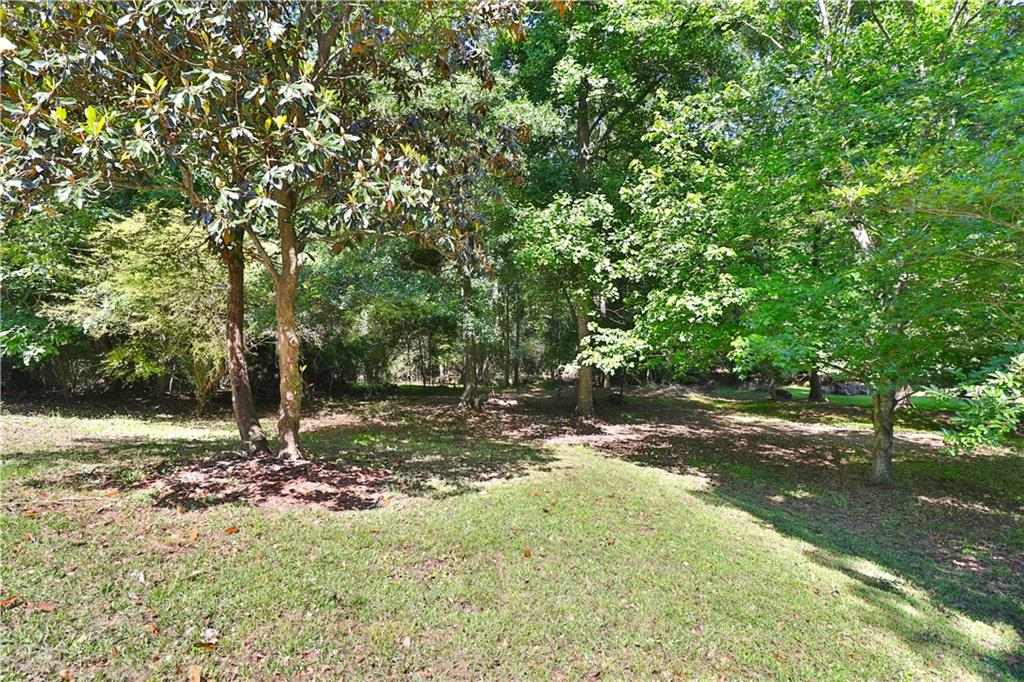 353 Fall View Court Winder, GA 30680 - Photo 58 of 61 a view of a tree in the middle of a yard