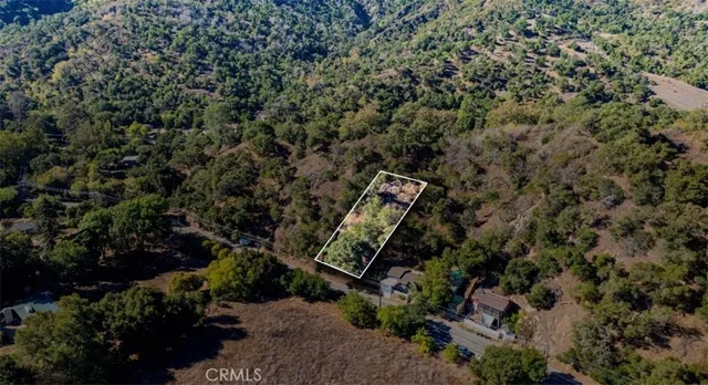 a view of a forest with a street