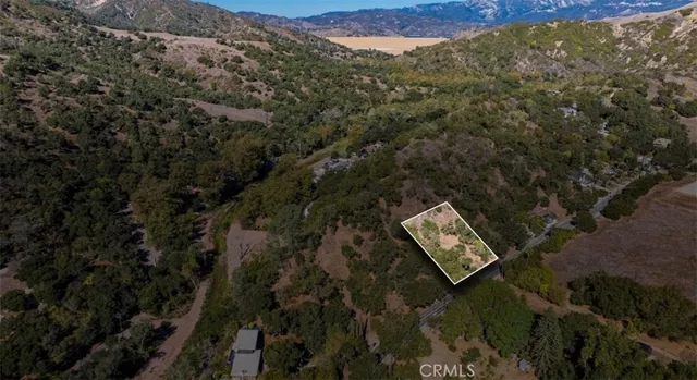 a view of a back yard from a lake view