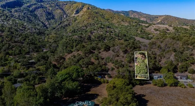 a view of a tree in a field