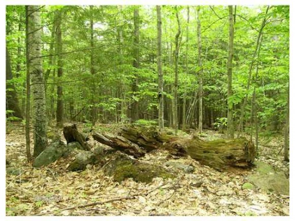 0 Loon Point Road Parsonsfield, ME 04047 - Photo 1 of 1
