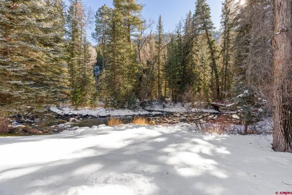 a view of tree next to a forest