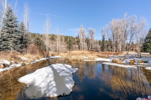 a view of a swimming pool with a yard
