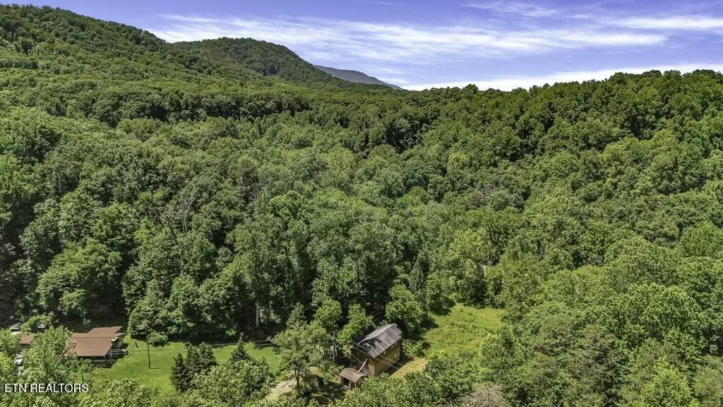 772 Goose Creek Road Seymour, TN 37865 - Photo 13 of 36 tempImageH8bTji