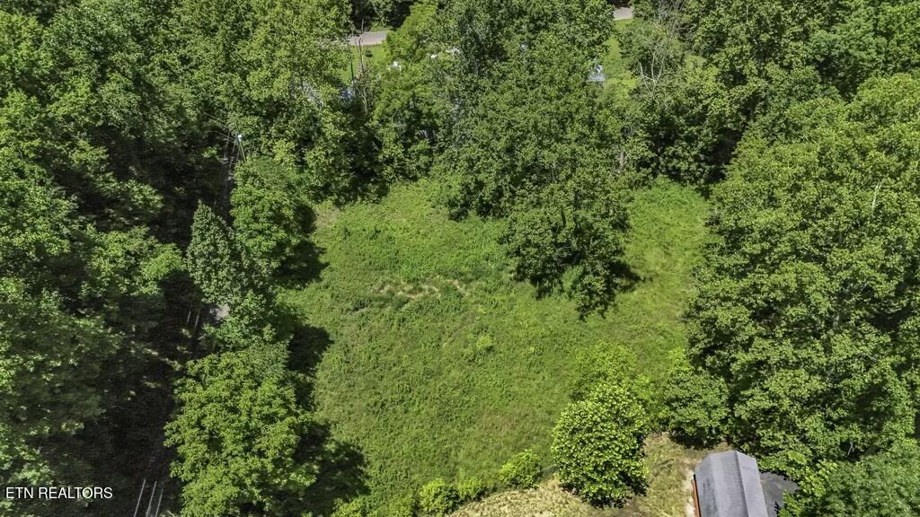 772 Goose Creek Road Seymour, TN 37865 - Photo 34 of 36 tempImagexgi1pk