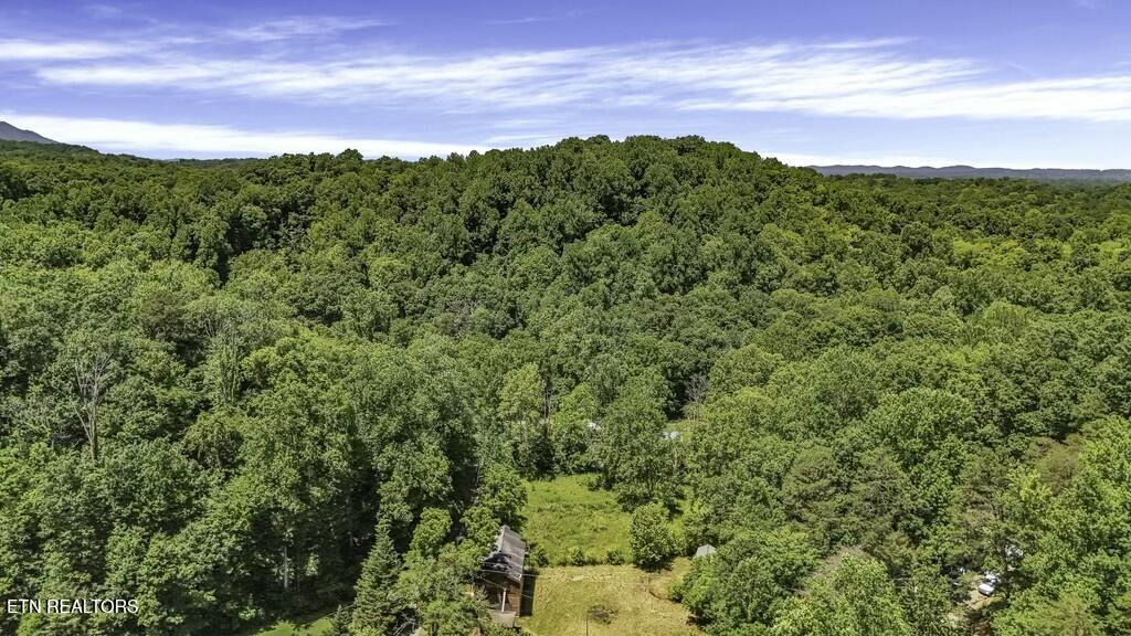 772 Goose Creek Road Seymour, TN 37865 - Photo 36 of 36 tempImageWcue1p