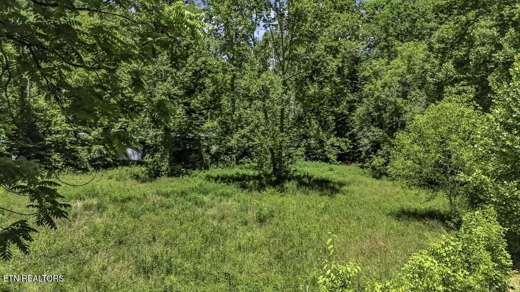 772 Goose Creek Road Seymour, TN 37865 - Photo 8 of 36 tempImagepOLNsX