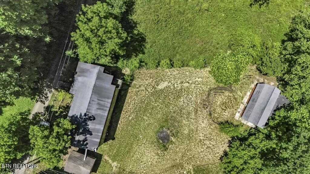 772 Goose Creek Road Seymour, TN 37865 - Photo 9 of 36 tempImageCGMrqs