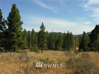 -off Hidden Valley Road Cle Elum, WA 98922 - Photo 1 of 1 Gallery Image 1