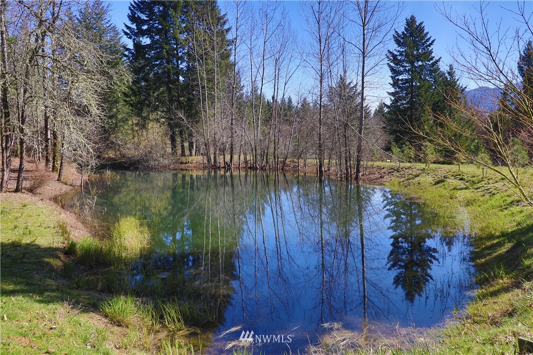 51 Quail Run Road Stevenson, WA 98648 - Photo 22 of 31 a view of lake from a yard