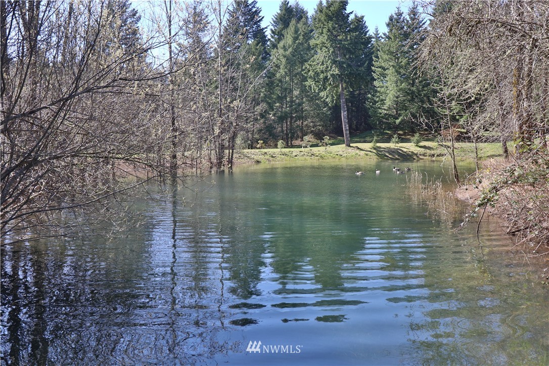 51 Quail Run Road Stevenson, WA 98648 - Photo 24 of 31 a view of lake