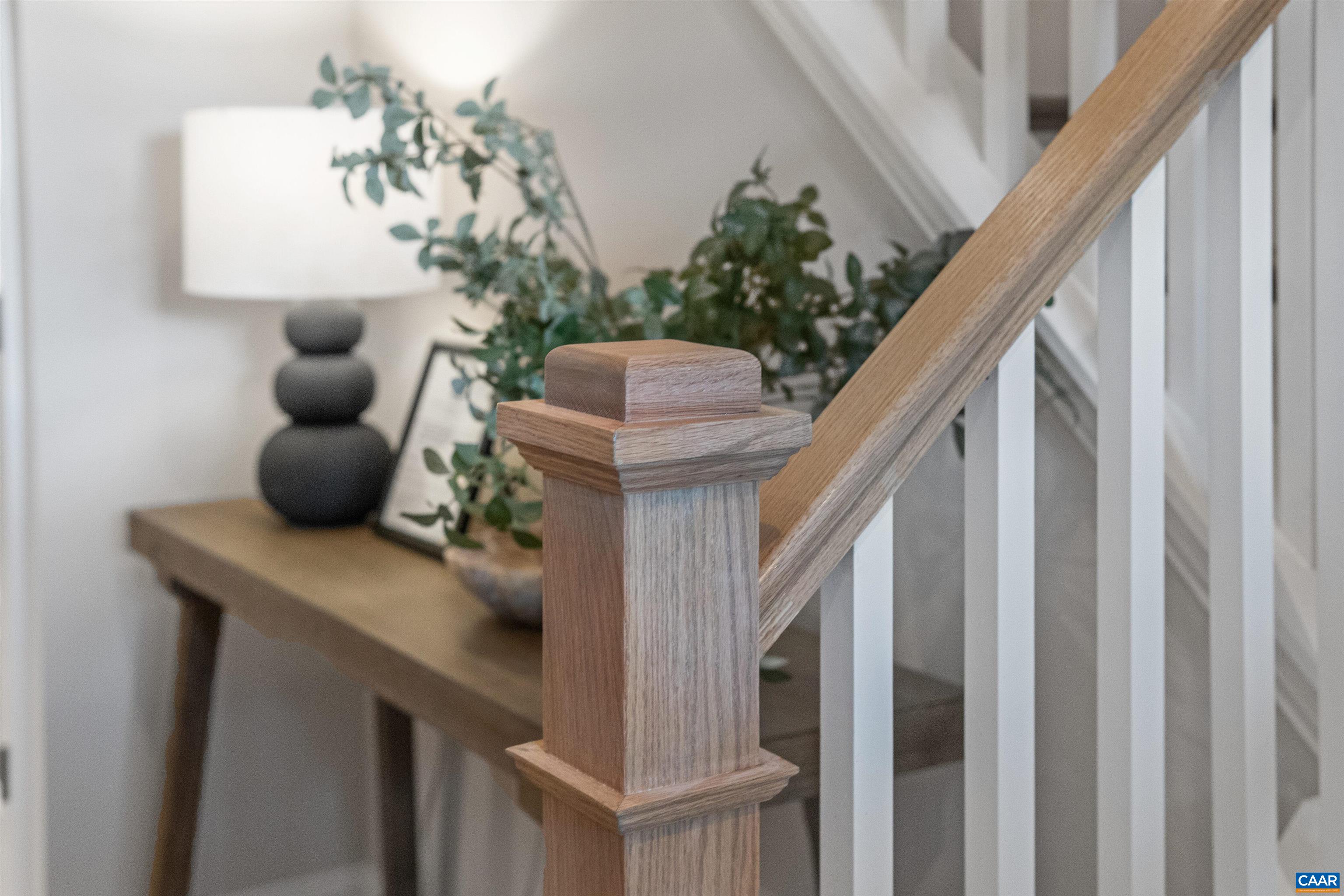 3809 Decerbo Terrace Charlottesville, VA 22901 - Photo 30 of 53 a view of entryway and hall