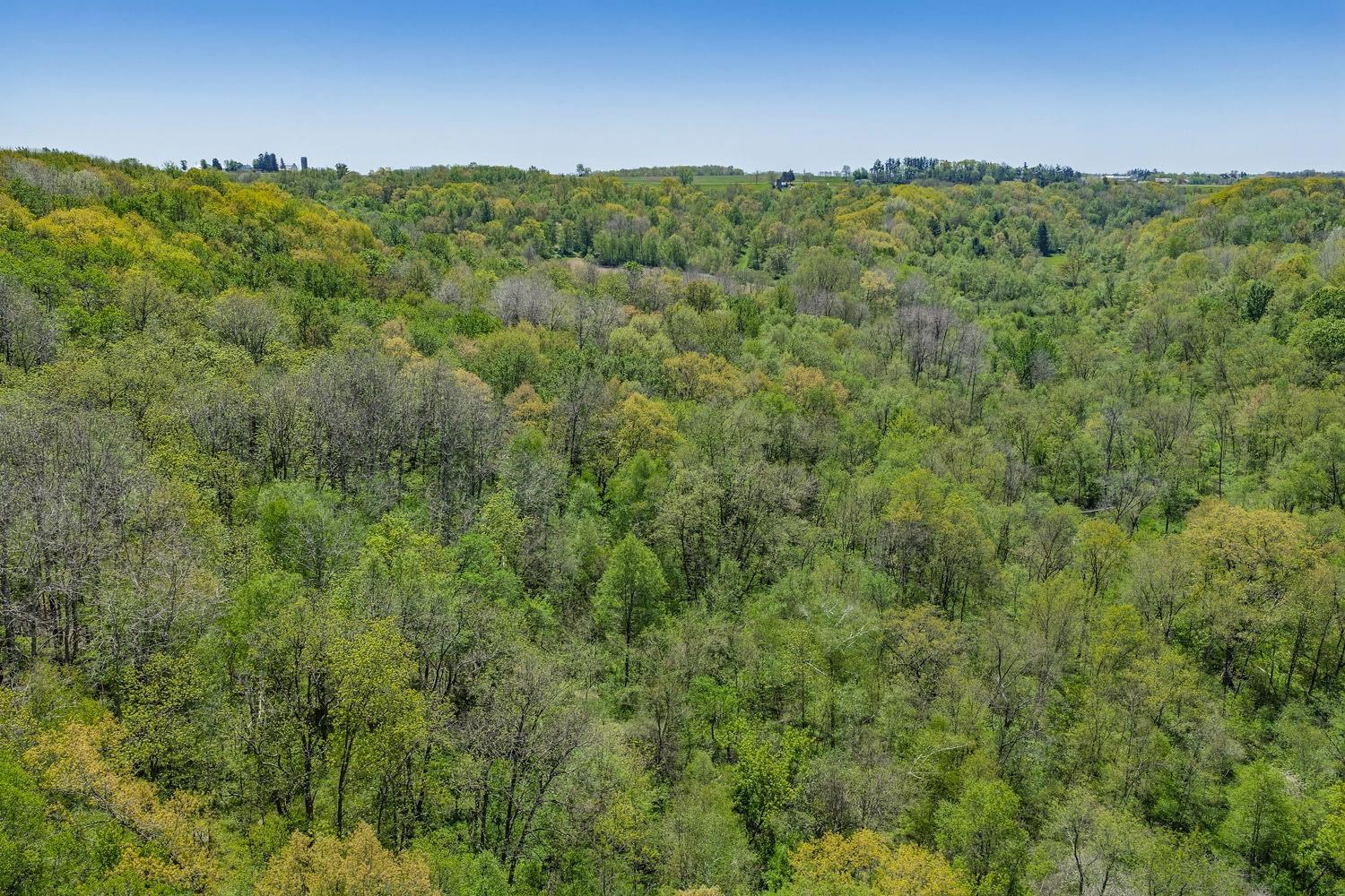 35.38-acres Finnegan Road Reedsburg, WI 53959 - Photo 3 of 19