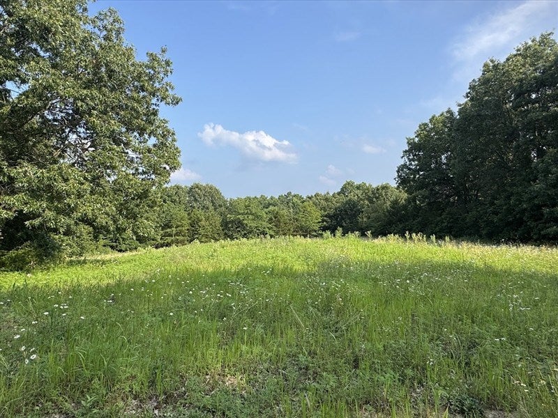 16109 Bethel Ridge Road Novinger, MO 63559 - Photo 36 of 73 Gallery Image 36
