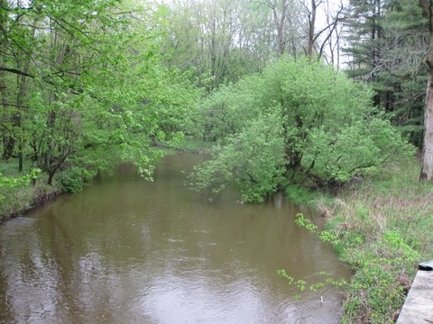 4033 Salt River Road Shepherd, MI 48883 - Photo 13 of 13 1799525-12.JPG