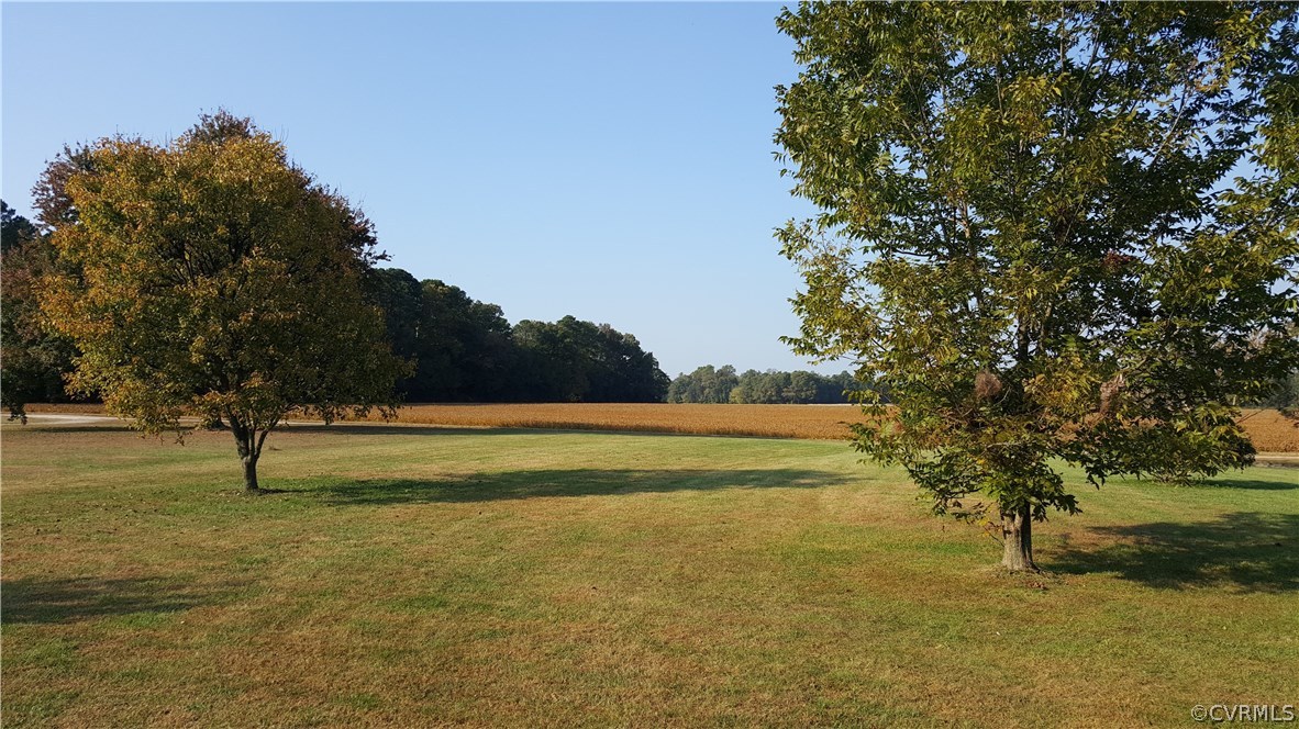 22205 Barnes Road Dinwiddie, VA 23841 - Photo 5 of 19 Gallery Image 5