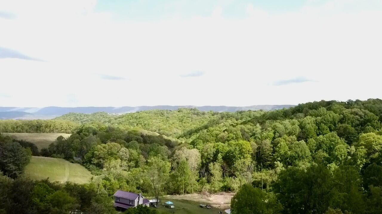 Mountain Road Peterstown, WV 24963 - Photo 11 of 11 Gallery Image 11