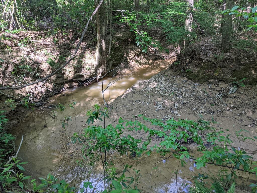 0 Tryus Bracken Road Sontag, MS 39665 - Photo 1 of 27 Main View