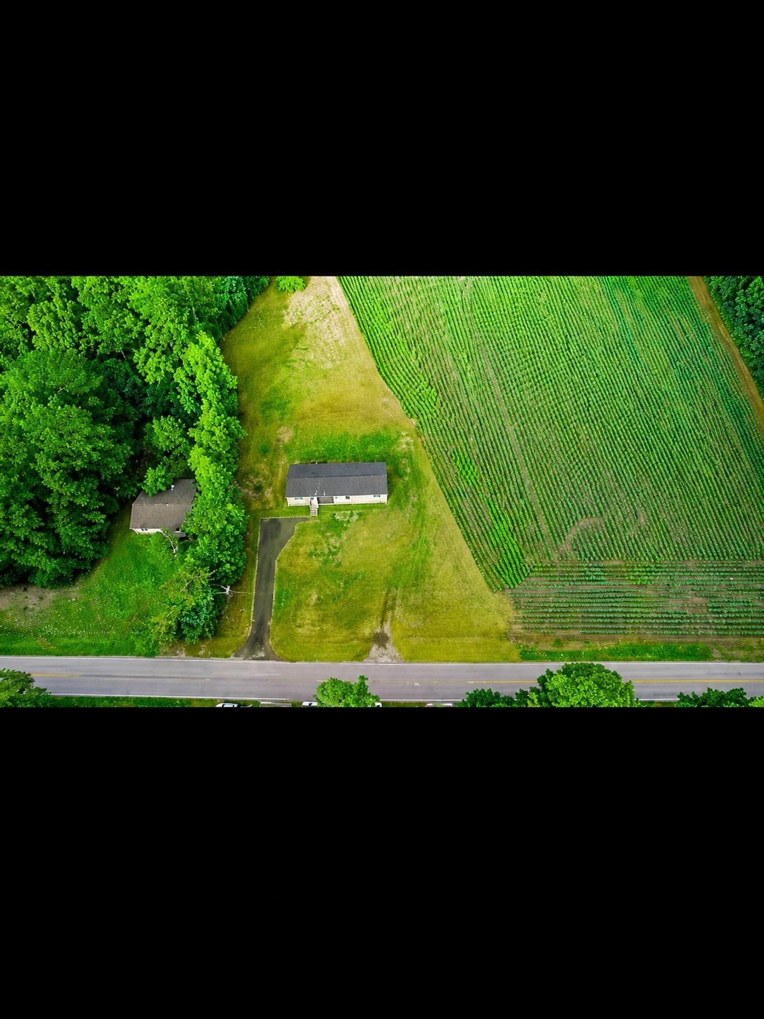 1346 Brunson Road Marion, SC 29571 - Photo 30 of 31