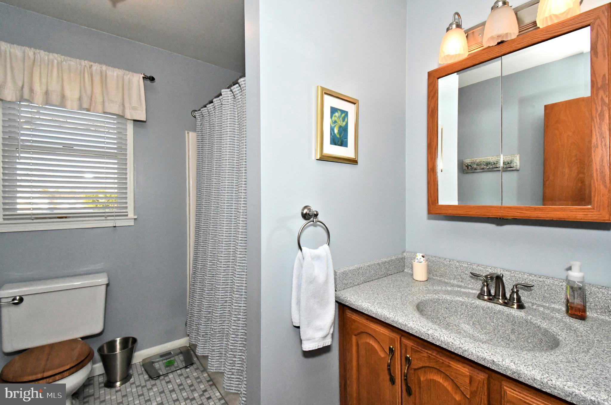 700 Alexander Drive Hatfield, PA 19440 - Photo 39 of 57 a bathroom with a granite countertop sink toilet and shower
