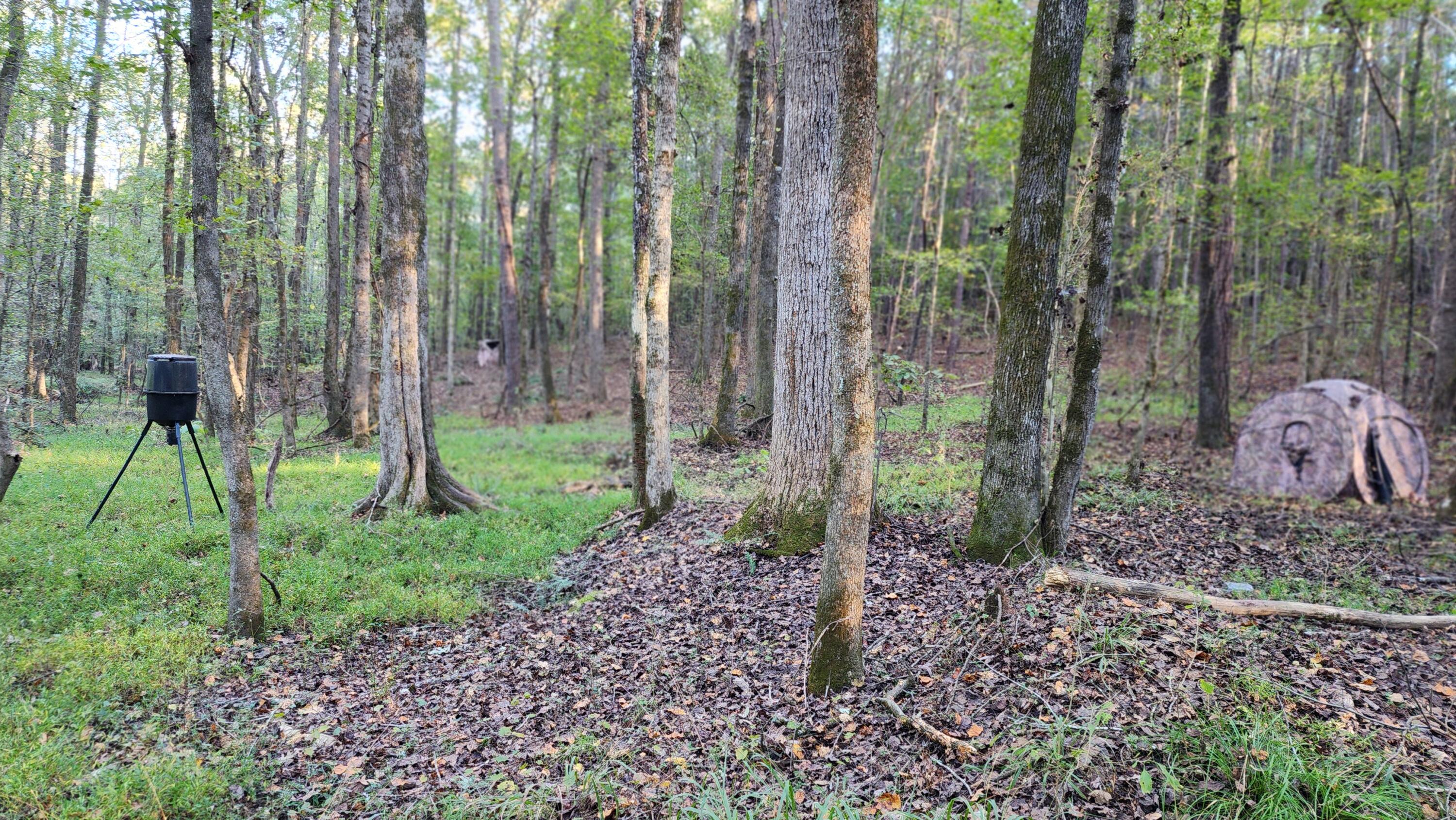 715 Oconee Forest Road Monticello, GA 31064 - Photo 43 of 49 20251013_175916