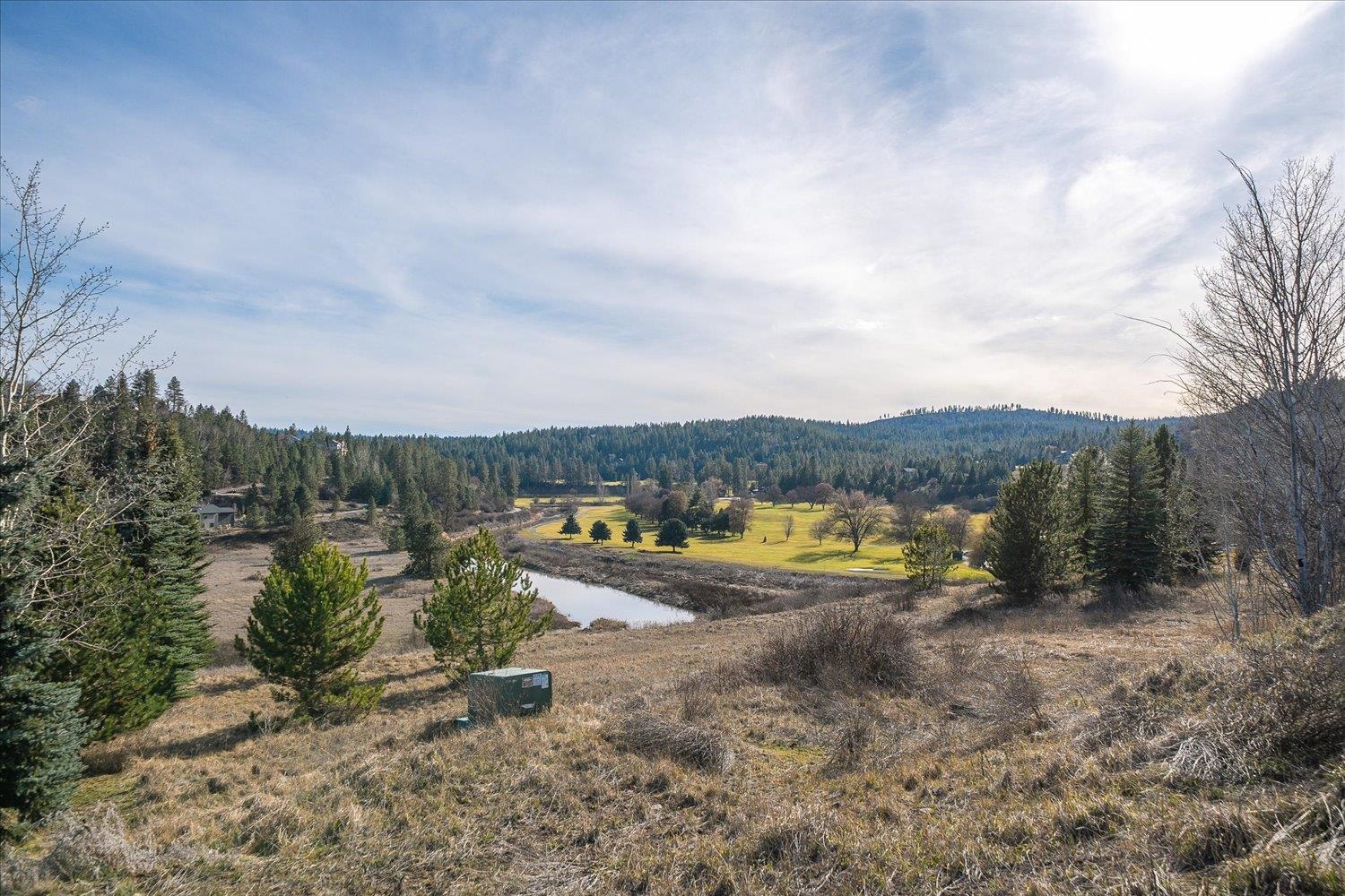 11511 South Fairway Ridge Lane Spokane, WA 99224 - Photo 28 of 35