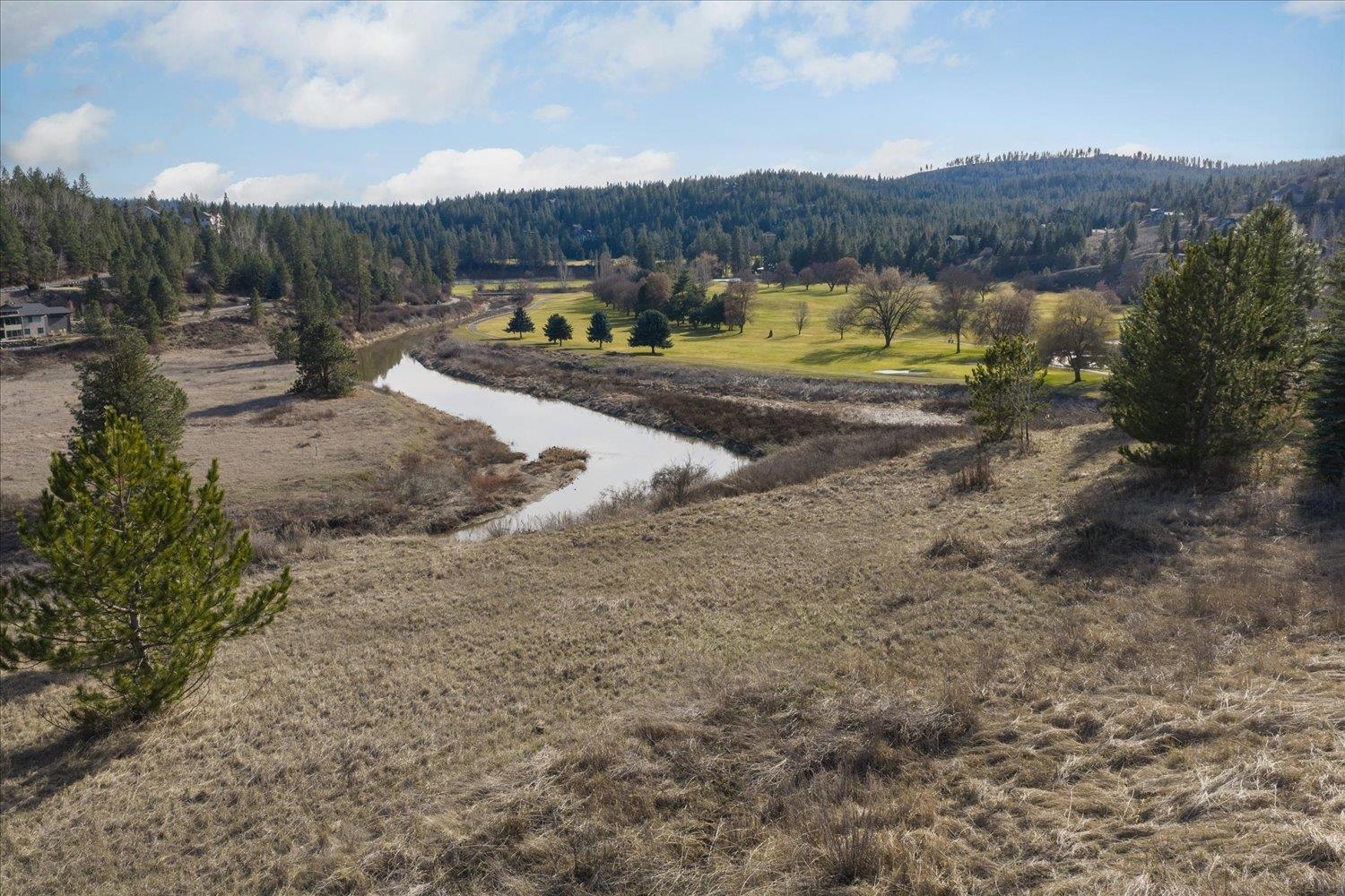 11511 South Fairway Ridge Lane Spokane, WA 99224 - Photo 7 of 35