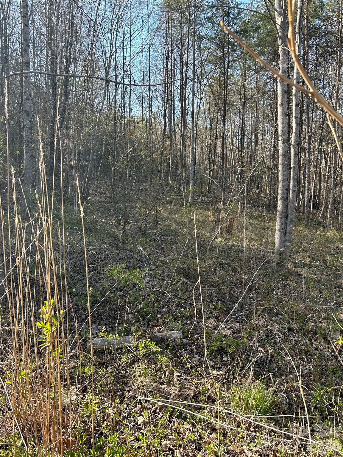288 Coolbrook Road Union Grove, NC 28689 - Photo 17 of 39