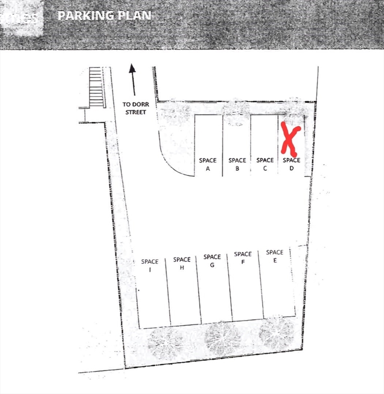 13 Dorr Street Boston, MA 02119 - Photo 2 of 2 a black and white photo of a room