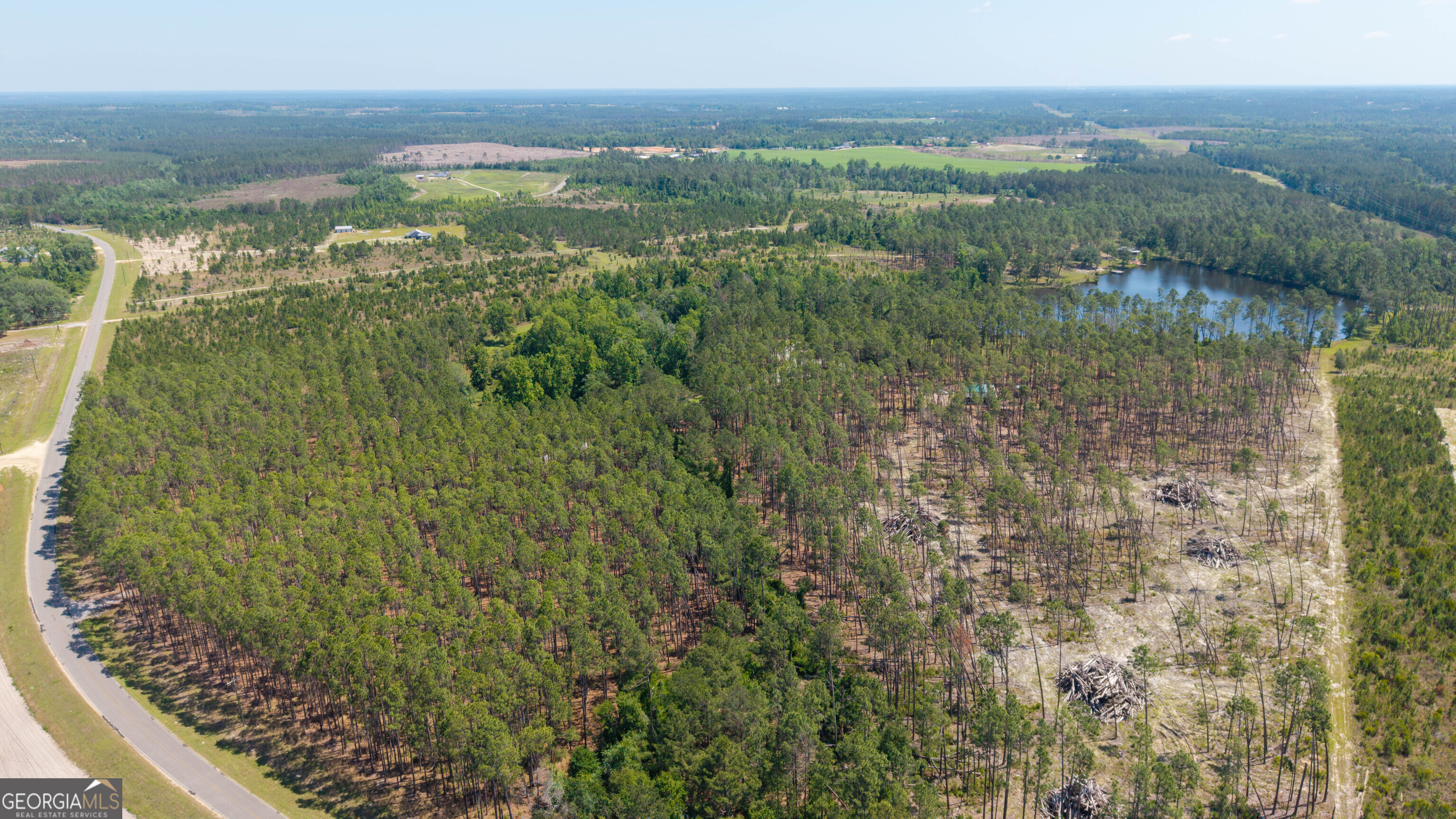 300 Hammond Powell Road Hazlehurst, GA 31539 - Photo 9 of 91 a view of a lake with a mountain in the background