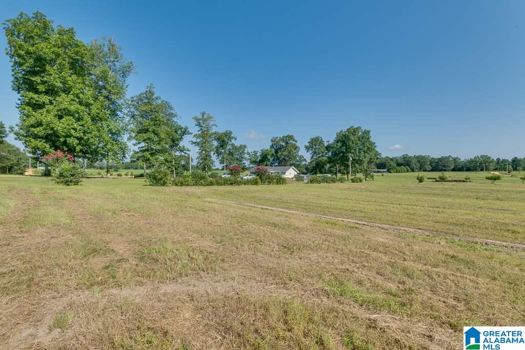 466 County Road 368 Verbena, AL 36091 - Photo 37 of 41