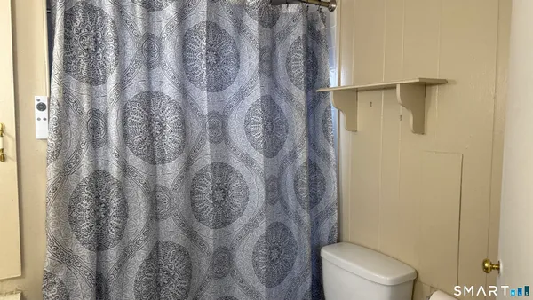 a white toilet sitting next to a shower curtain
