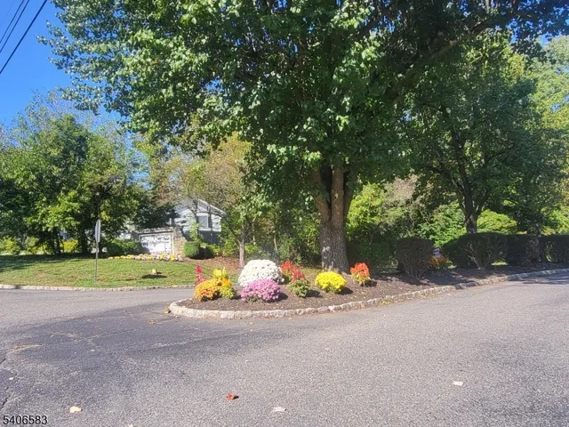 a view of a street with a fire pit