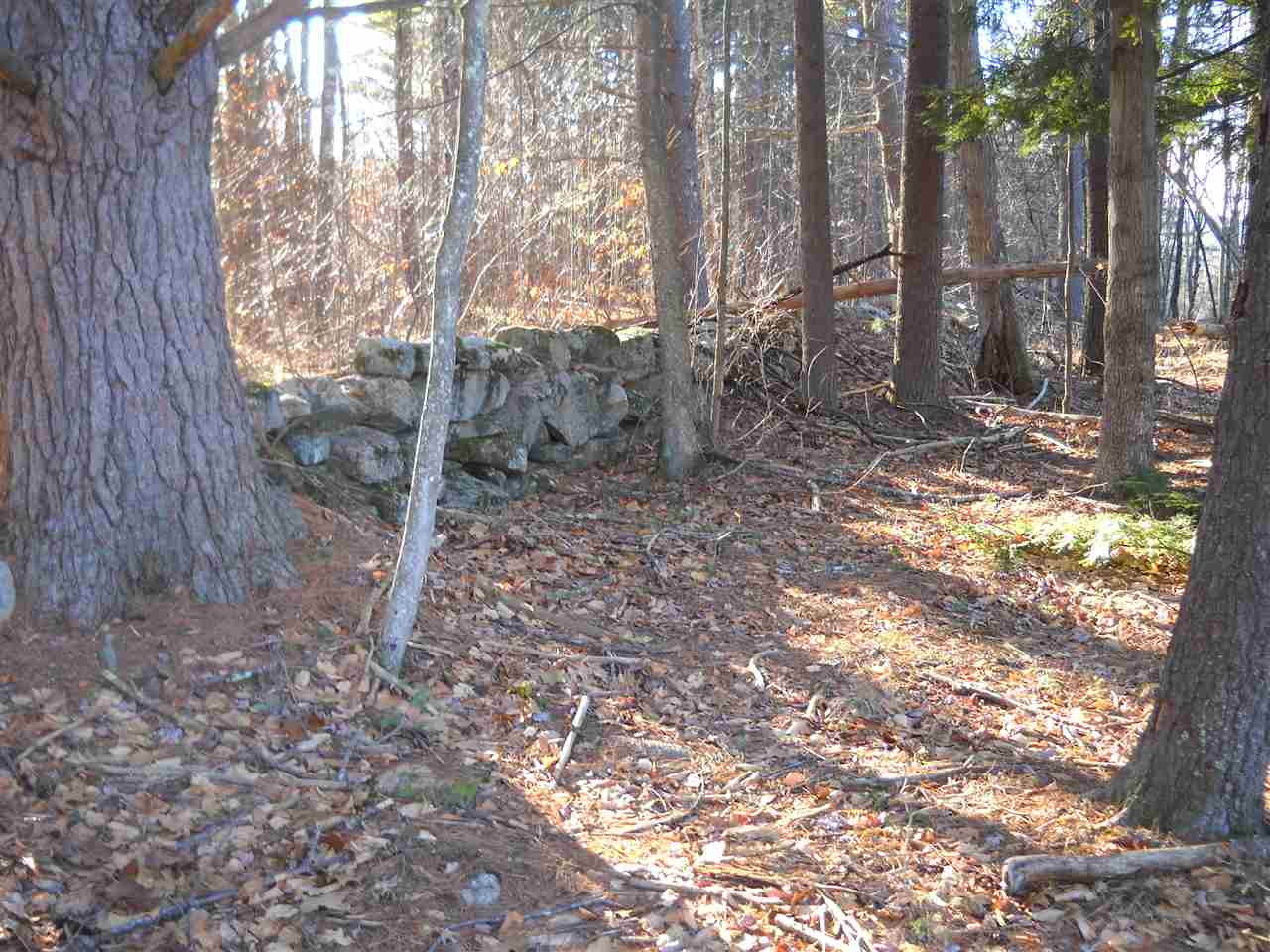 19 Old Milford Road, Unit F1191 Brookline, NH 03033 - Photo 5 of 6 Gallery Image 5