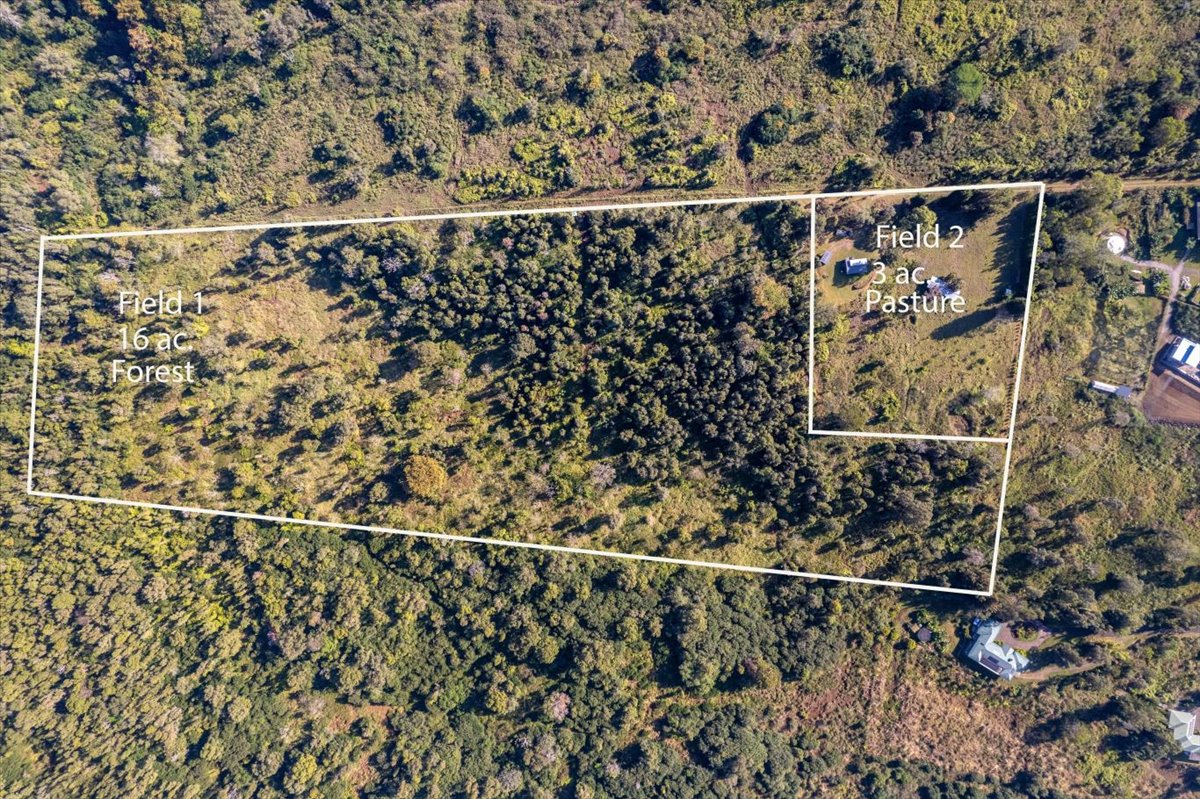 76-1285 Waiono Ranch Road Holualoa, HI 96725 - Photo 3 of 5