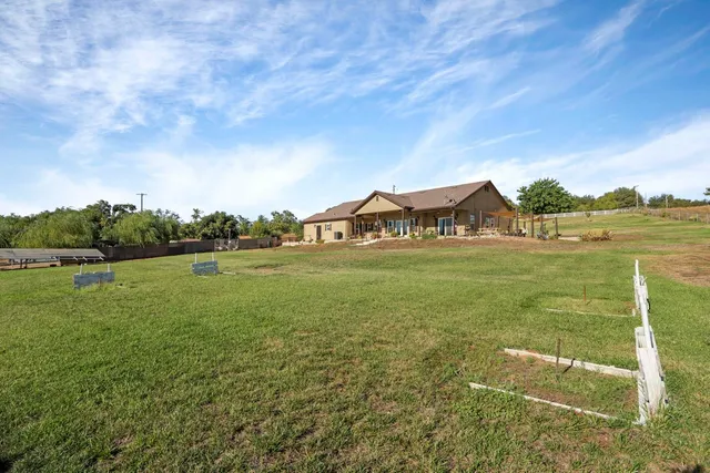 a view of a park with large trees