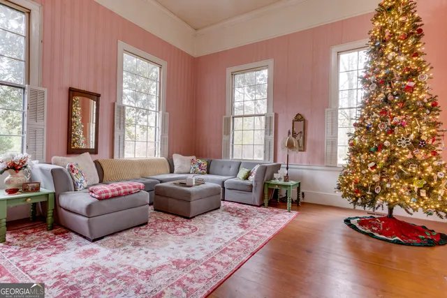 a living room with furniture and a potted plant