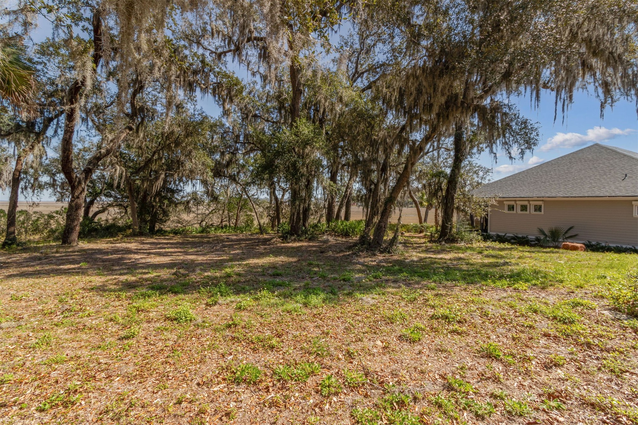 28832 Grandview Manor Yulee, FL 32097 - Photo 11 of 30