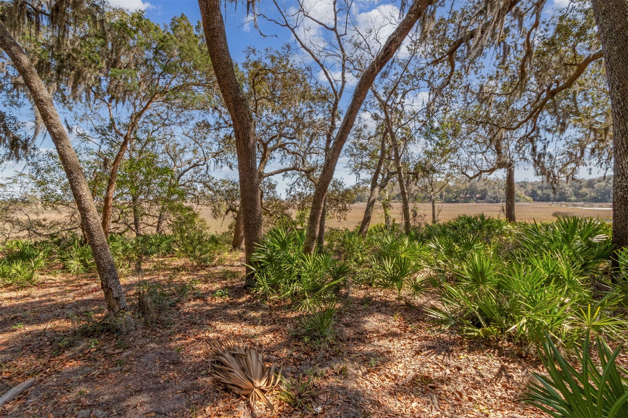 28832 Grandview Manor Yulee, FL 32097 - Photo 12 of 30