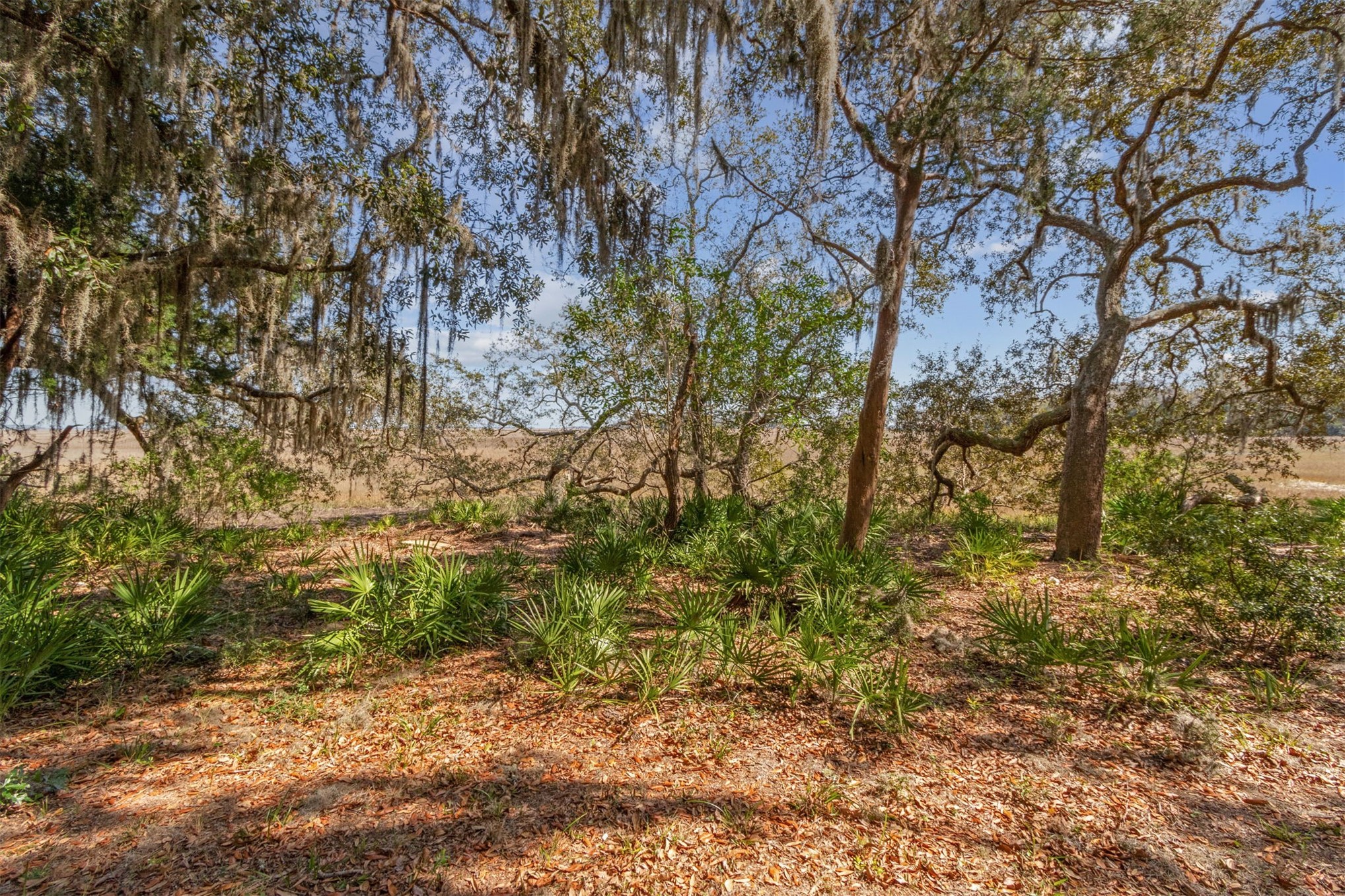 28832 Grandview Manor Yulee, FL 32097 - Photo 13 of 30