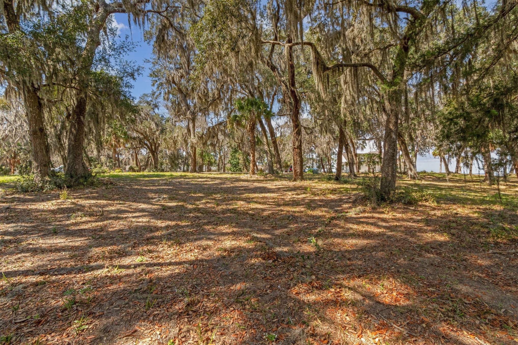 28832 Grandview Manor Yulee, FL 32097 - Photo 14 of 30