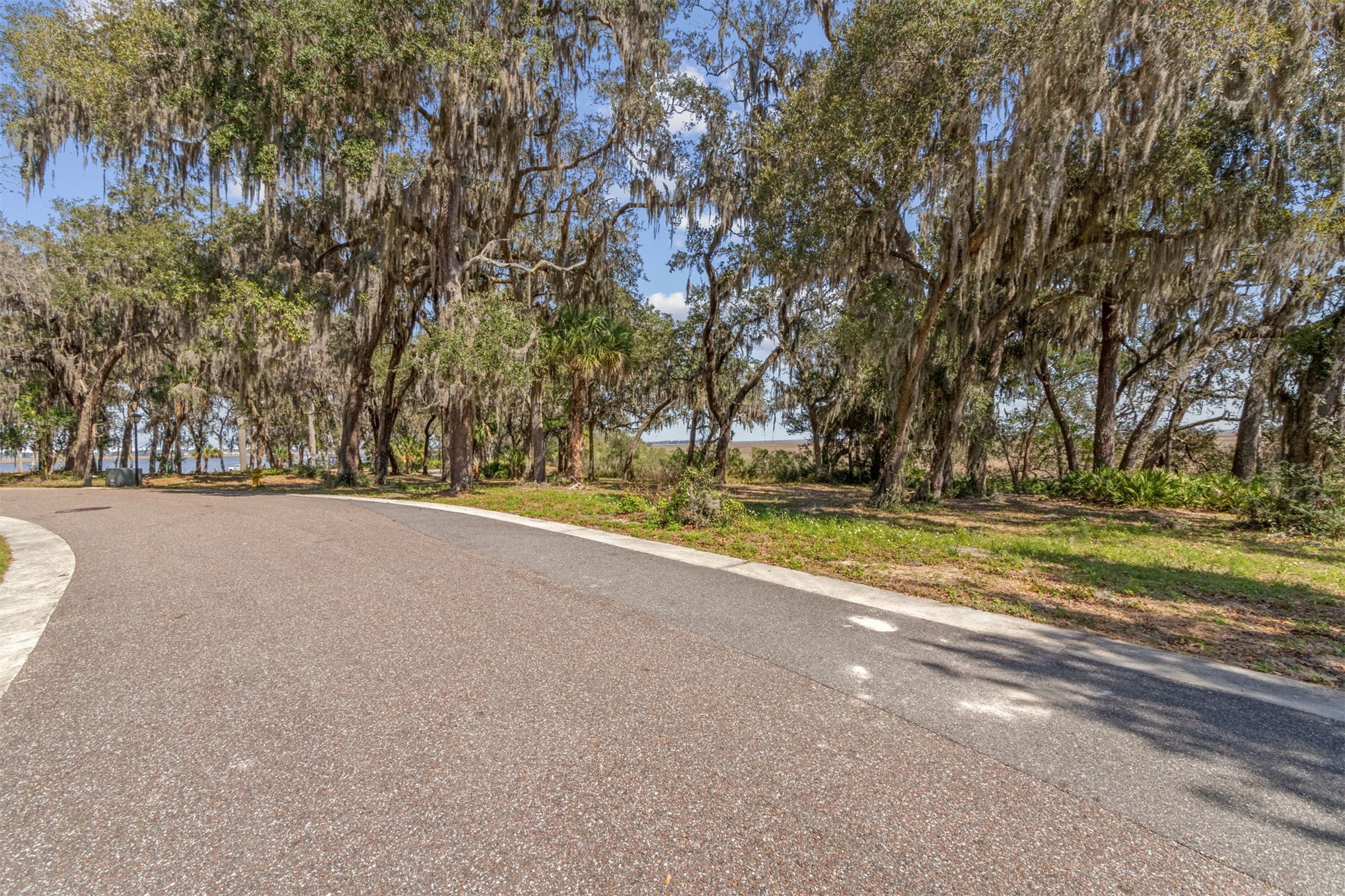 28832 Grandview Manor Yulee, FL 32097 - Photo 15 of 30