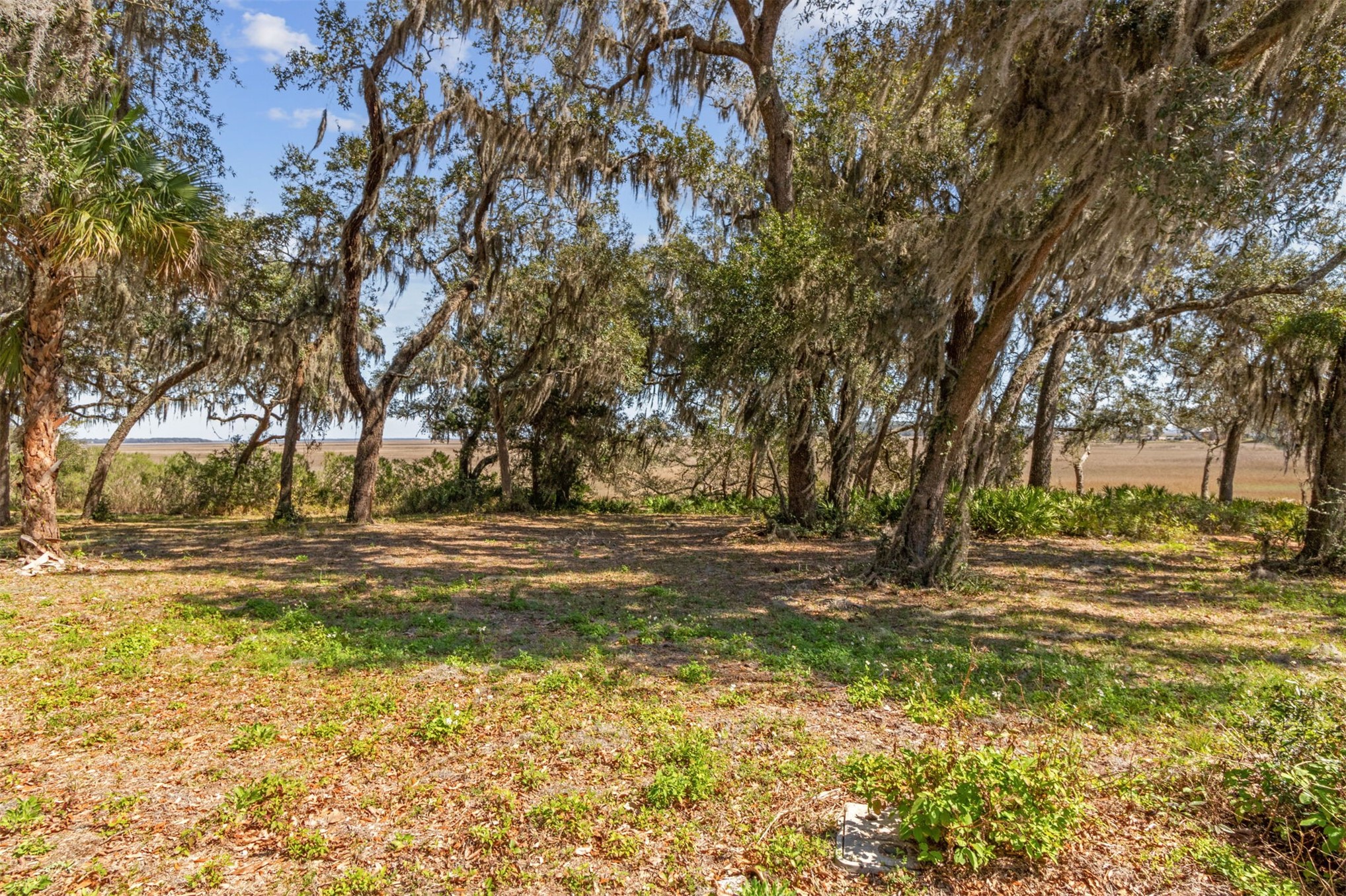 28832 Grandview Manor Yulee, FL 32097 - Photo 10 of 30