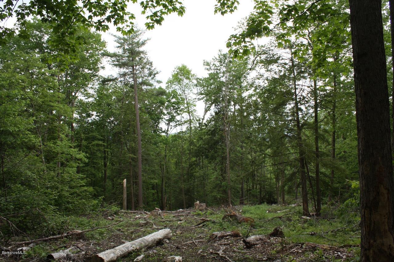 0 Brewer Branch Road Mill River, MA 01244 - Photo 1 of 5 Facing south from top